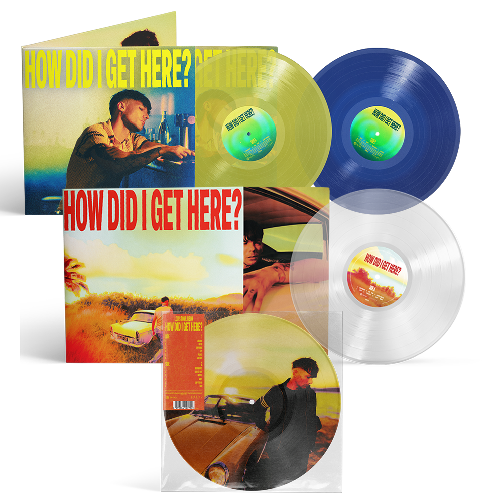 How Did I Get Here? (Vinyl Bundle)