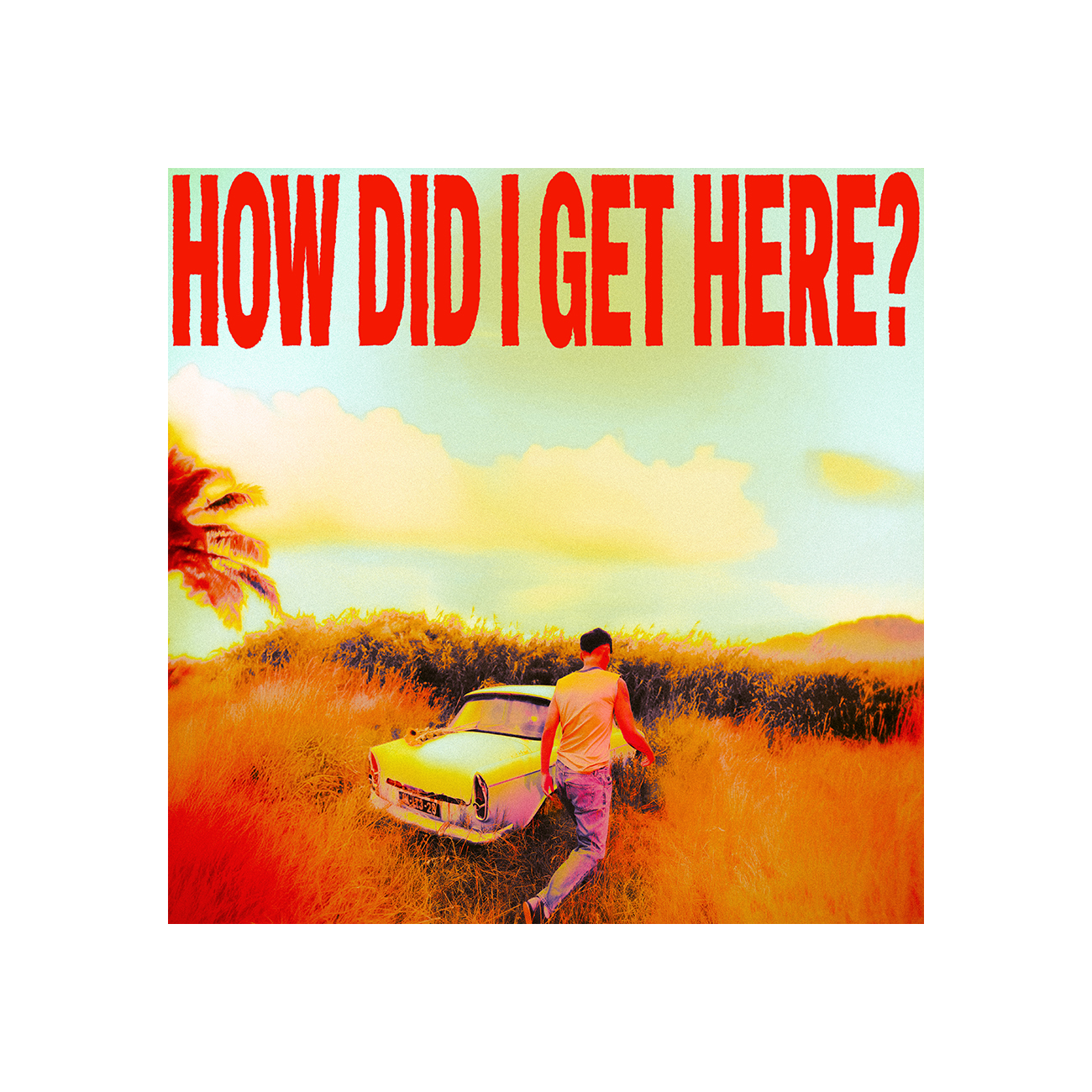 Louis Tomlinson - How Did I Get Here? Digital Download